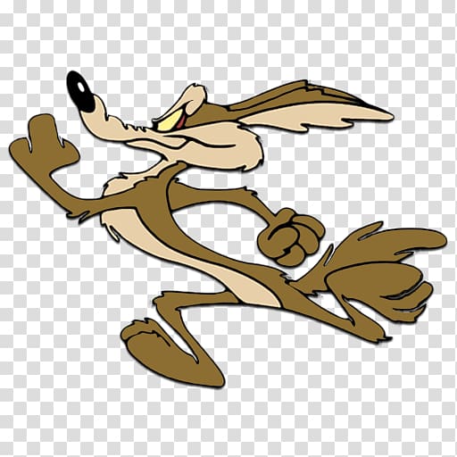 Wile E Cayote Illustration Wile E Coyote And The Road Runner Looney