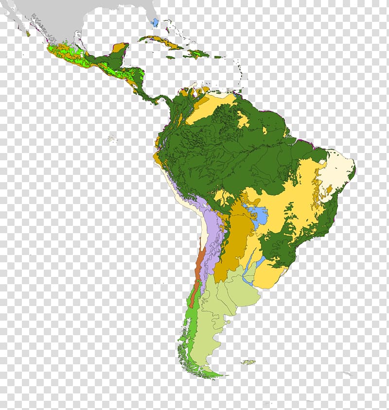 Latin America South America Map Geography Map Transparent Background