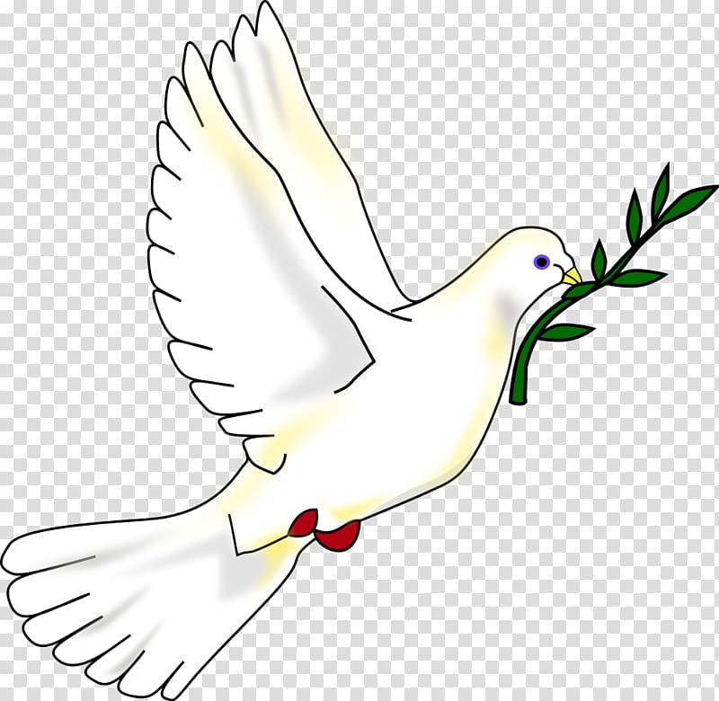 Columbidae Bird Peace symbols , pigeon transparent background PNG clipart