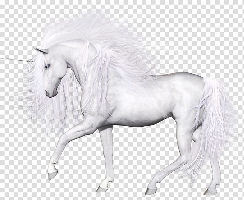 Horse Unicorn Transparency and translucency Pegasus, unicorn transparent background PNG clipart