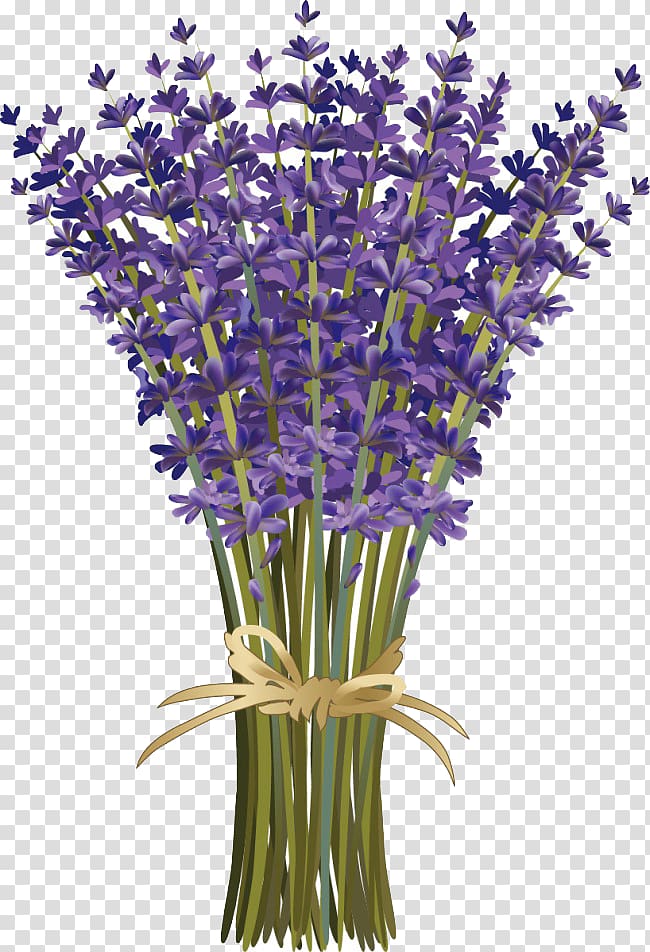 purple petal flowers, Lavandula dentata French lavender Flower bouquet Floral design, Cartoon bouquet of lavender bouquet creative transparent background PNG clipart