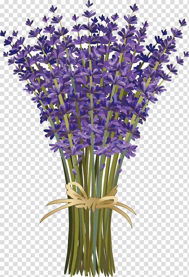 clipart lavender flowers