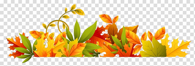 Autumn , Thanksgiving Border transparent background PNG clipart