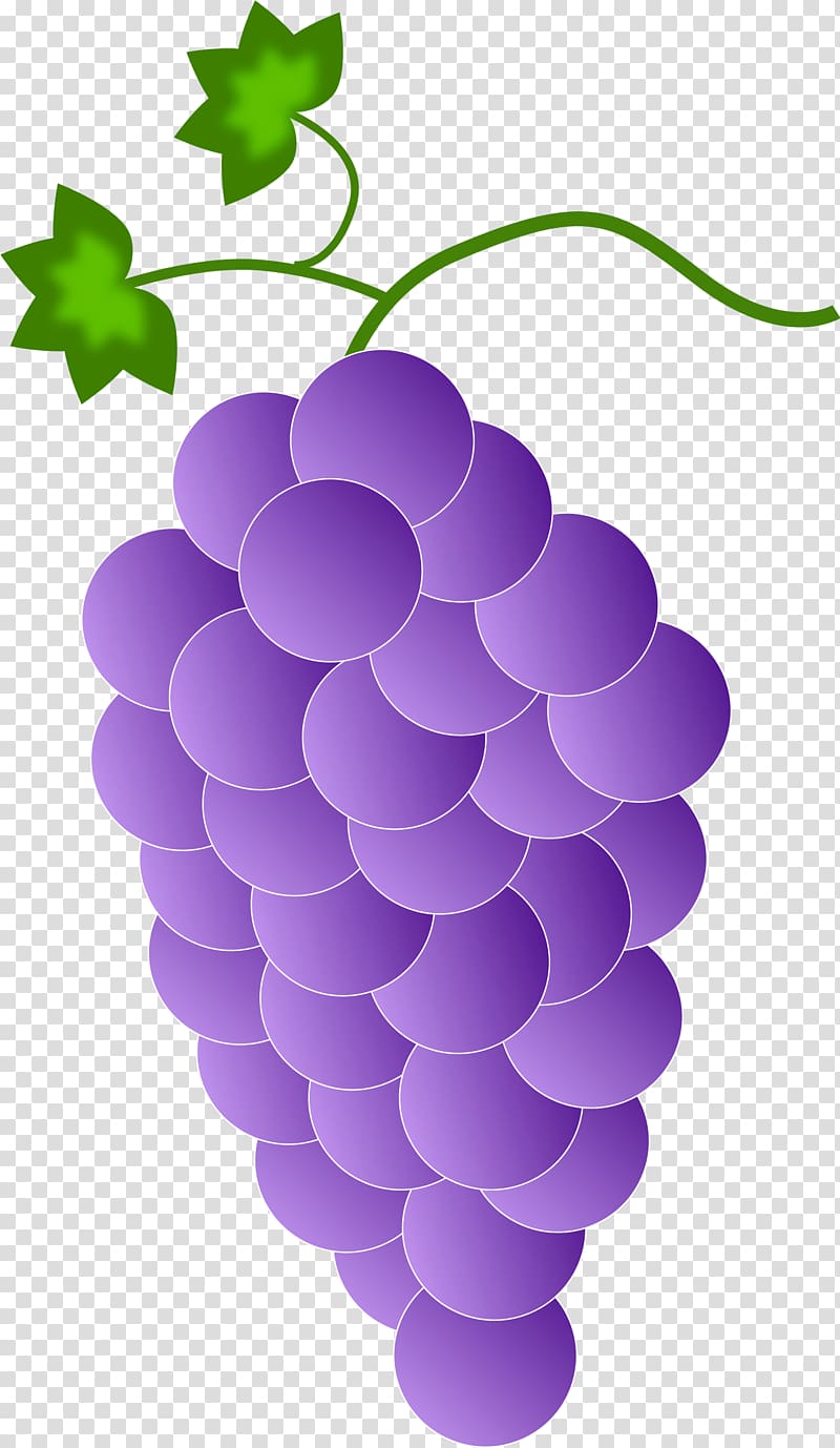 Common Grape Vine Color , Purple Grapes transparent background PNG clipart