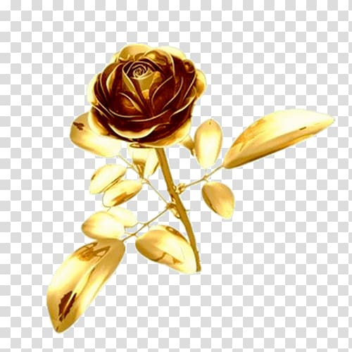 ping, Golden Rose transparent background PNG clipart