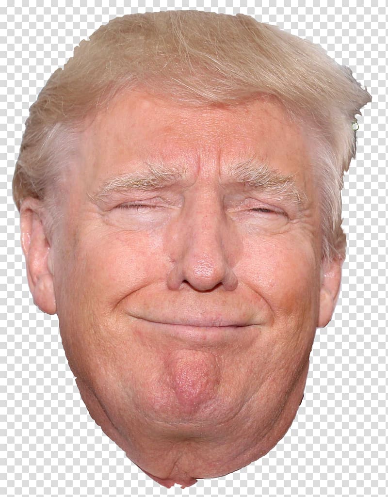 Donald Trump United States Republican Party presidential candidates, 2016 Trump: The Art of the Deal Mask, donald trump transparent background PNG clipart