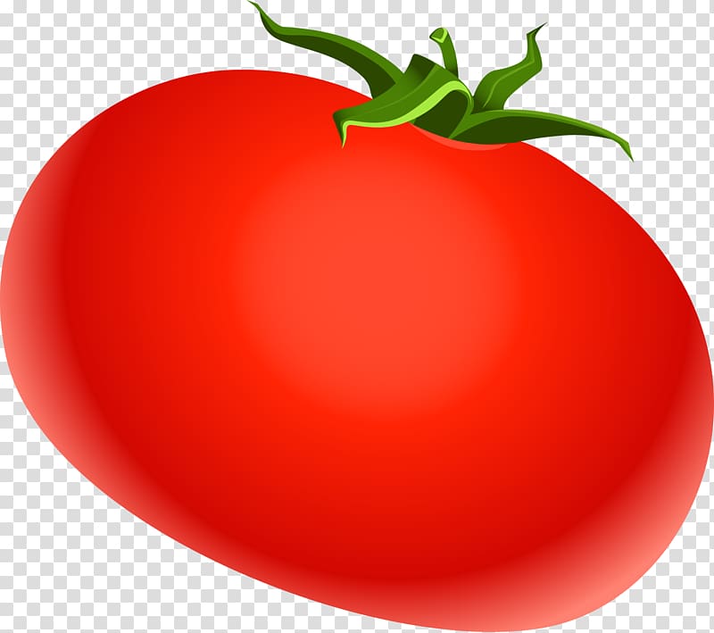 Plum tomato Red Rouge tomate, Red tomato tomato illustration transparent background PNG clipart