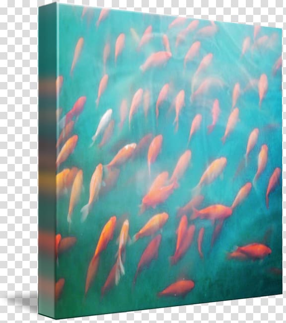 Marine biology Underwater Marine mammal Coral reef fish, swimming poster transparent background PNG clipart