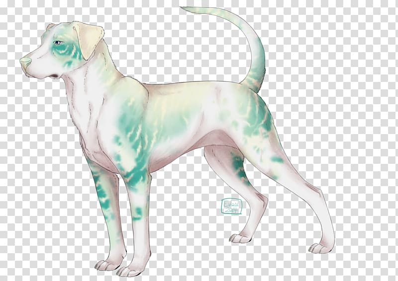 Dog breed Sporting Group Companion dog, Dog transparent background PNG clipart