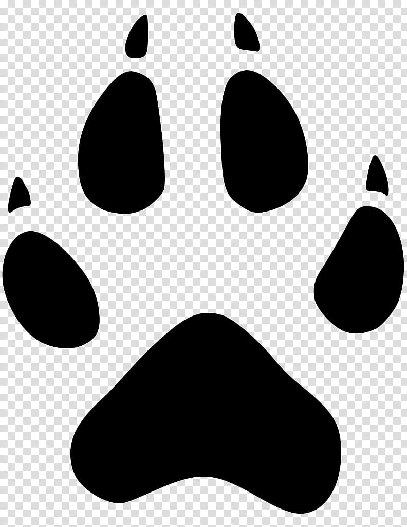 Dog Coyote Animal track Cougar , tracks transparent background PNG clipart