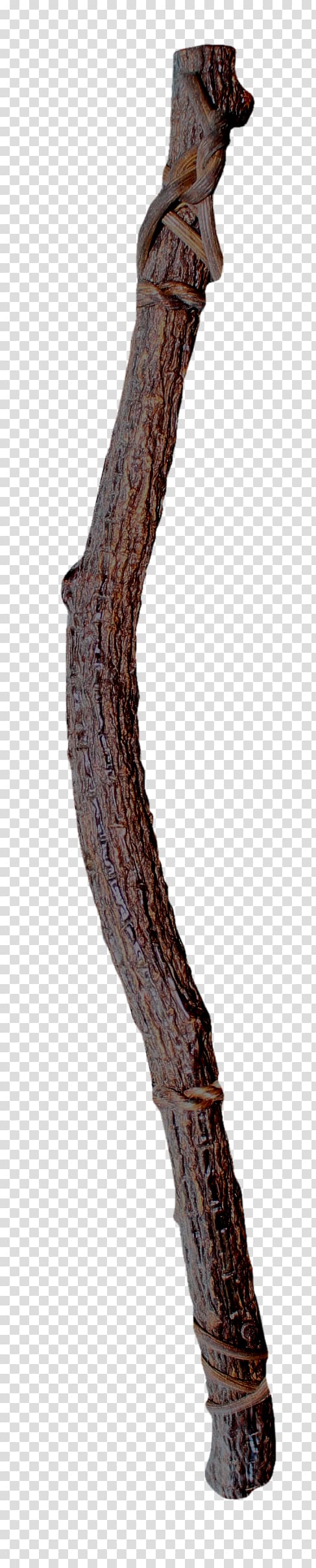 , Brown tree trunk transparent background PNG clipart