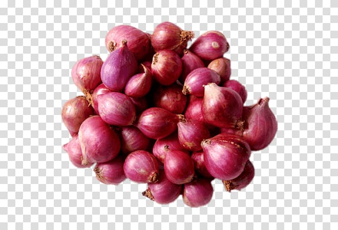 Sambar Shallot Potato onion Indian cuisine Vegetable, vegetable transparent background PNG clipart