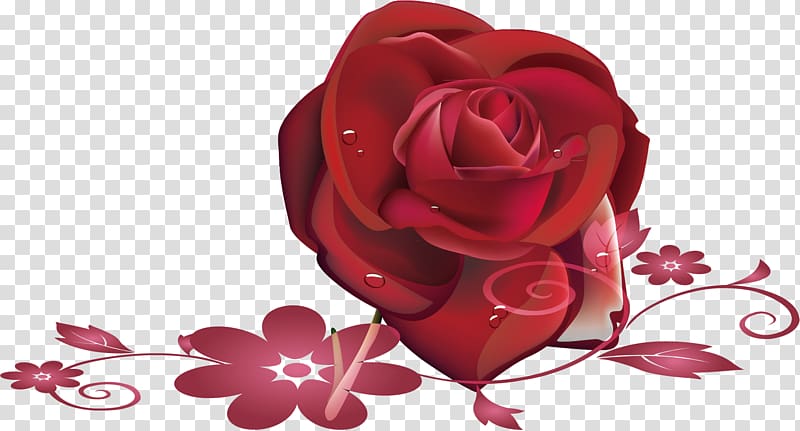 Garden roses Beach rose Petal, Red rose material transparent background PNG clipart