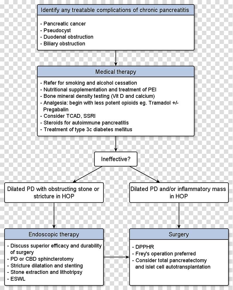 Chronic pancreatitis Pancreas divisum Pancrelipase Pancreatic cancer, Cp System transparent background PNG clipart
