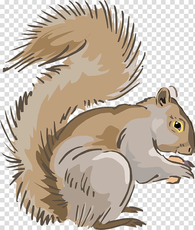 Eastern gray squirrel Chipmunk , Tribal Squirrel transparent background PNG clipart