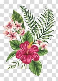 watercolor flowers transparent background PNG clipart