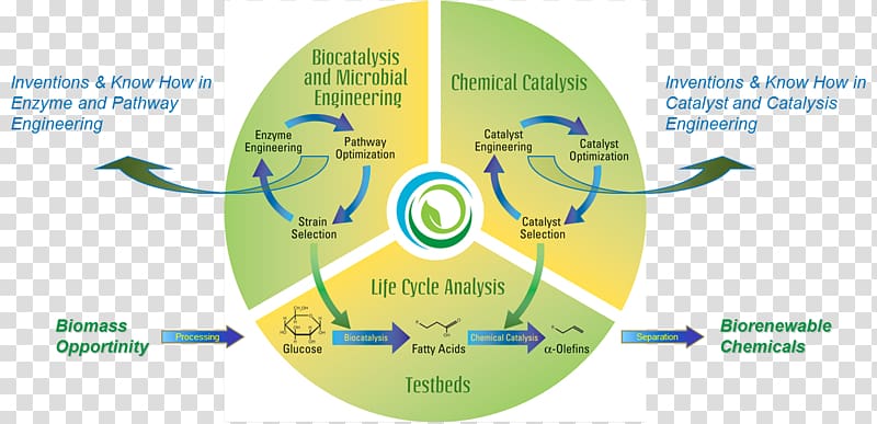 Bioproducts Biogeochemical cycle Chemical substance Catalysis Biological life cycle, Cecos University Of Information Technology And Eme transparent background PNG clipart