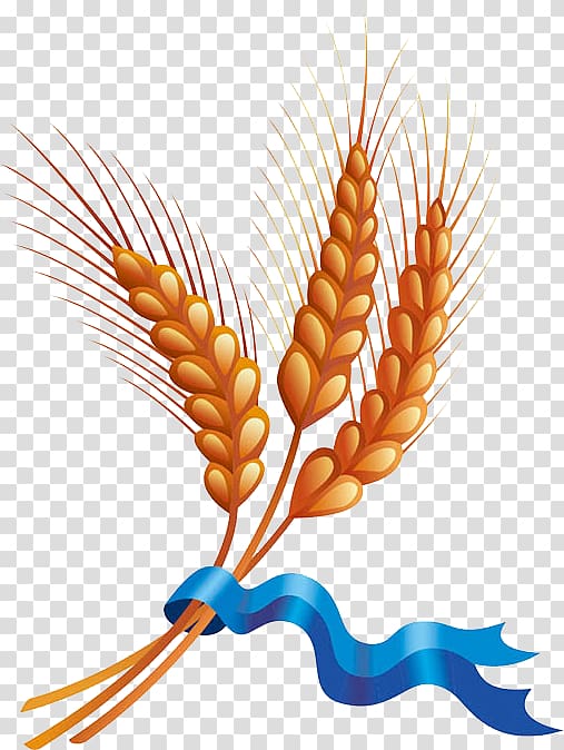 Wheat Cereal Harvest , Barley material transparent background PNG clipart