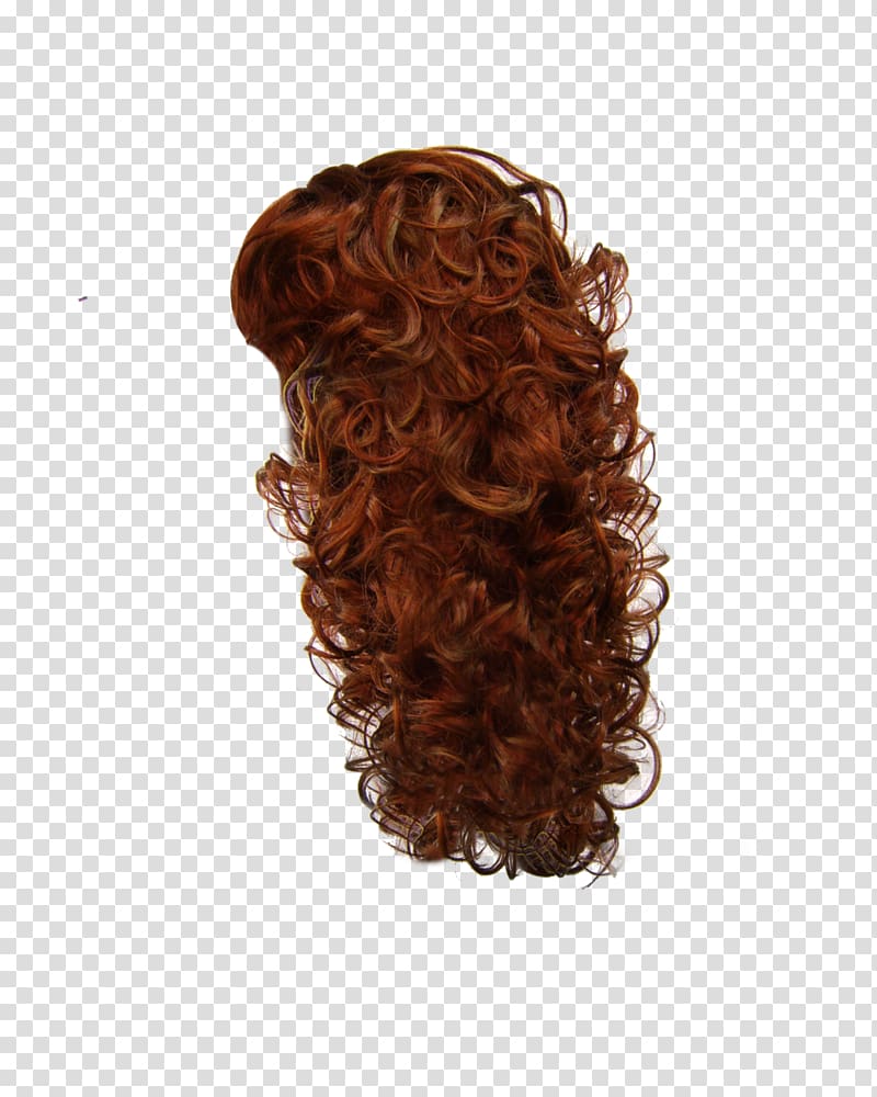 Hairstyle Wig, hair transparent background PNG clipart
