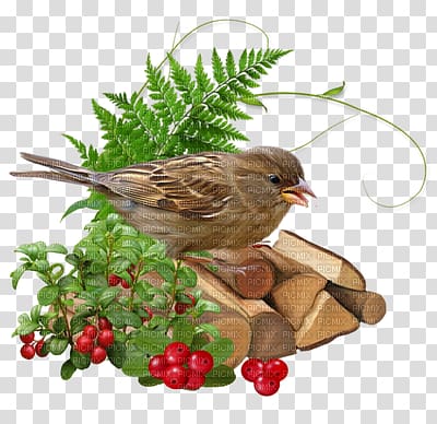 Blog Online diary House Sparrow , others transparent background PNG clipart