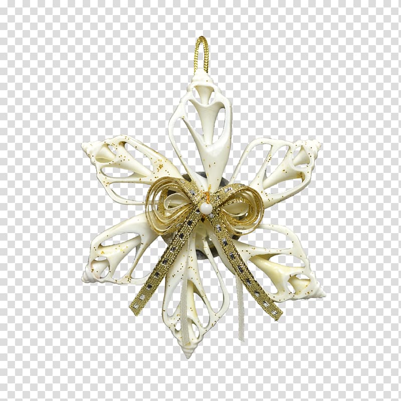 Christmas ornament Light fixture, sand dollar transparent background PNG clipart