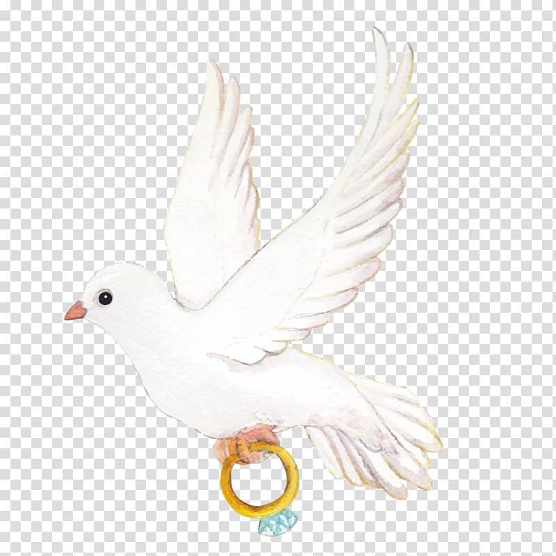 white dove carrying ring illustration, Wedding ring Icon, love pigeons transparent background PNG clipart