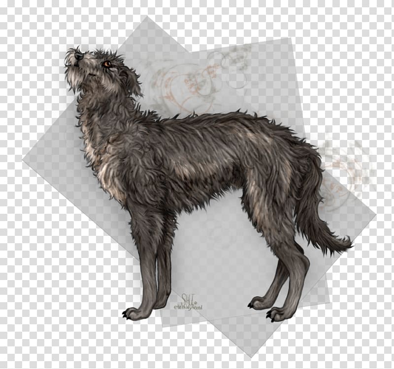 Dog breed Scottish Deerhound Scotland Fur, Irish Wolfhound transparent background PNG clipart