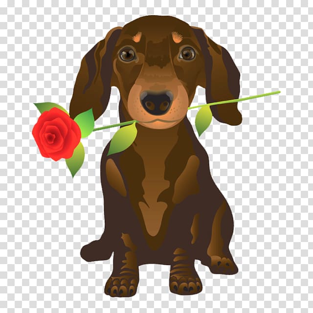 Dachshund Puppy German Shepherd Pet sitting Valentine's Day, puppy transparent background PNG clipart