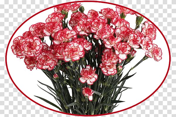 Dom Tsvetochnoy Mody Flower bouquet Floral design Garden roses, flower transparent background PNG clipart