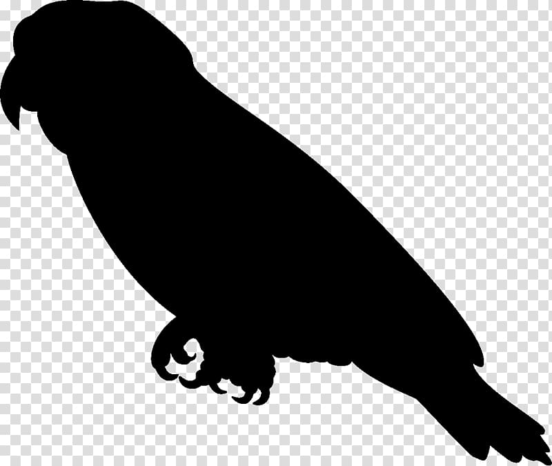 Amazon parrot Silhouette , Silhouette transparent background PNG clipart