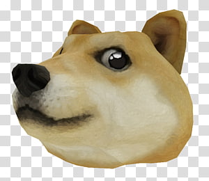 Roblox Corporation Doge Dog Breed Others Transparent Background Png Clipart Hiclipart - baby doge roblox