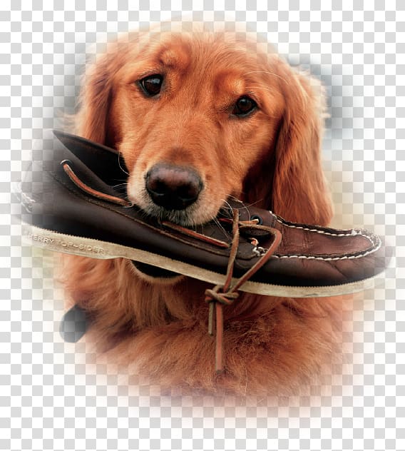 Sperry Top-Sider Boat shoe Boot Clothing, boot transparent background PNG clipart