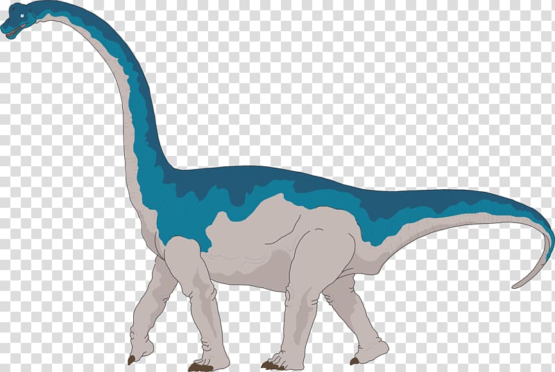 Brachiosaurus Apatosaurus Brontosaurus Dinosaur size , giraffe transparent background PNG clipart