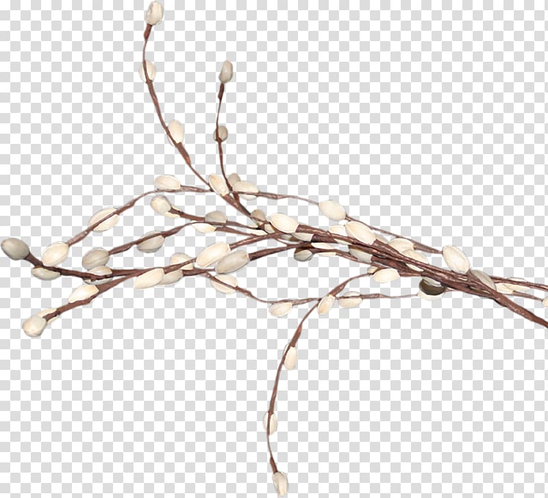 Digital Weeping willow Tree , willow tree transparent background PNG clipart