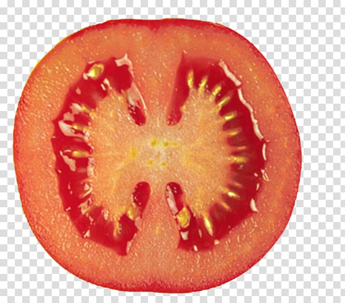 Tomato Doctrine of signatures Health Organ Food, tomato transparent background PNG clipart