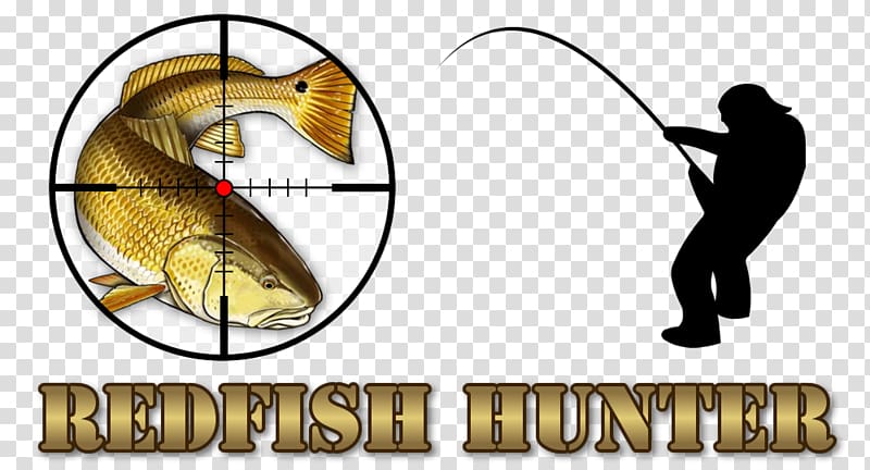 Homosassa Crystal River Fishing Desktop , Redfish transparent background PNG clipart
