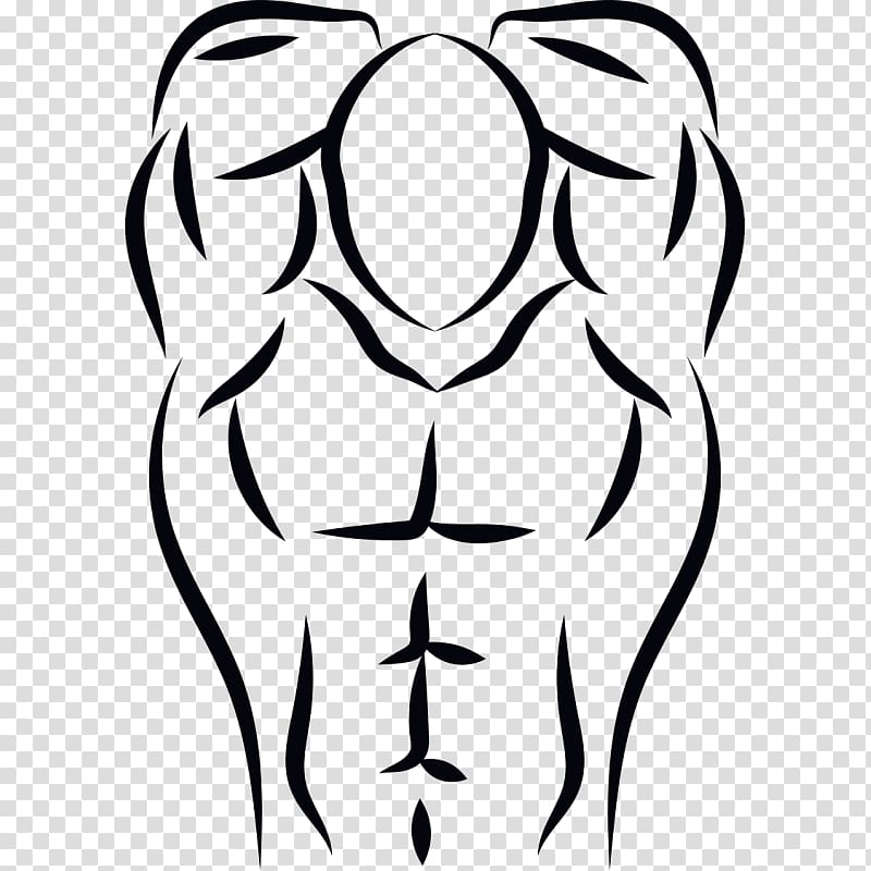 Muscle Drawing Eye , Eye transparent background PNG clipart | HiClipart