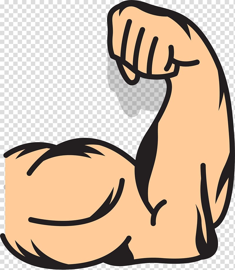 arm muscles clipart