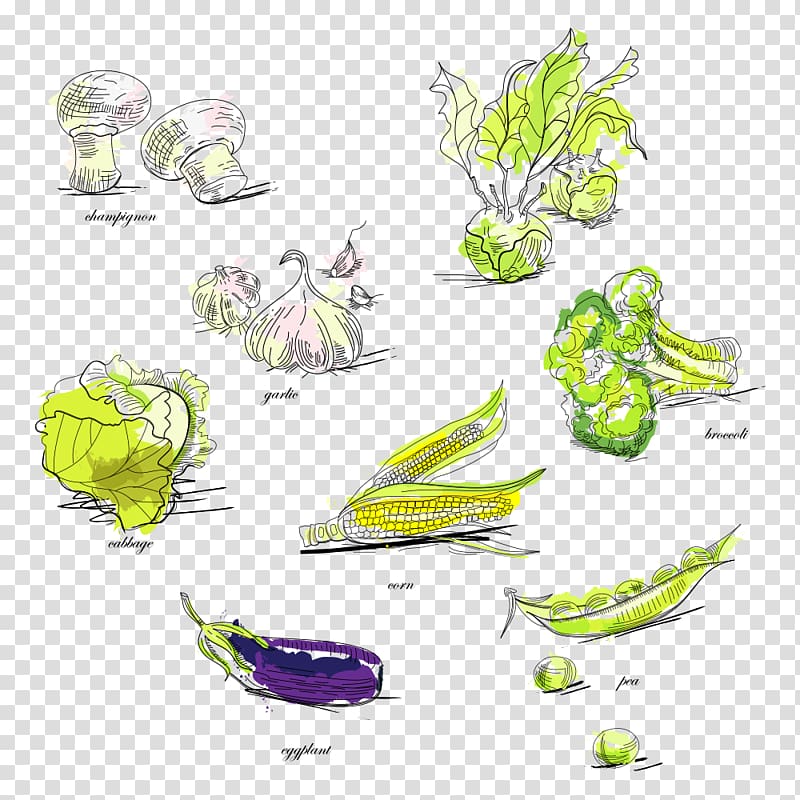 Vegetable Broccoli Pea Illustration, vegetables transparent background PNG clipart