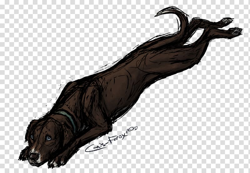 Dog Coyote Canis ferox Drawing Mammal, Dog transparent background PNG clipart