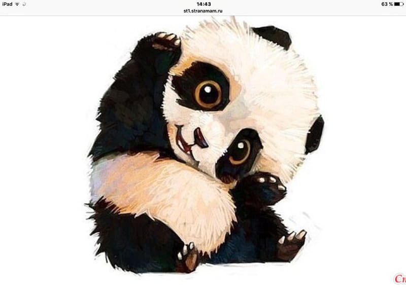 Giant panda Bear Cuteness Drawing Red panda, panda transparent background PNG clipart