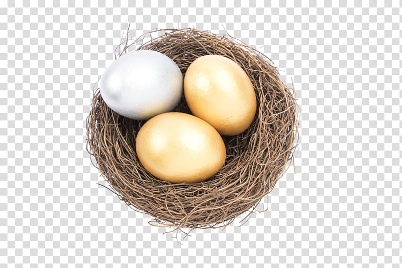 Edible birds nest Egg Bird nest, Nest money transparent background