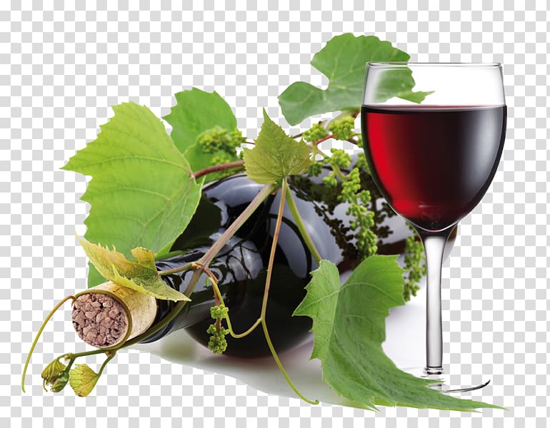 Red Wine Riesling White wine Amarone, wine transparent background PNG clipart