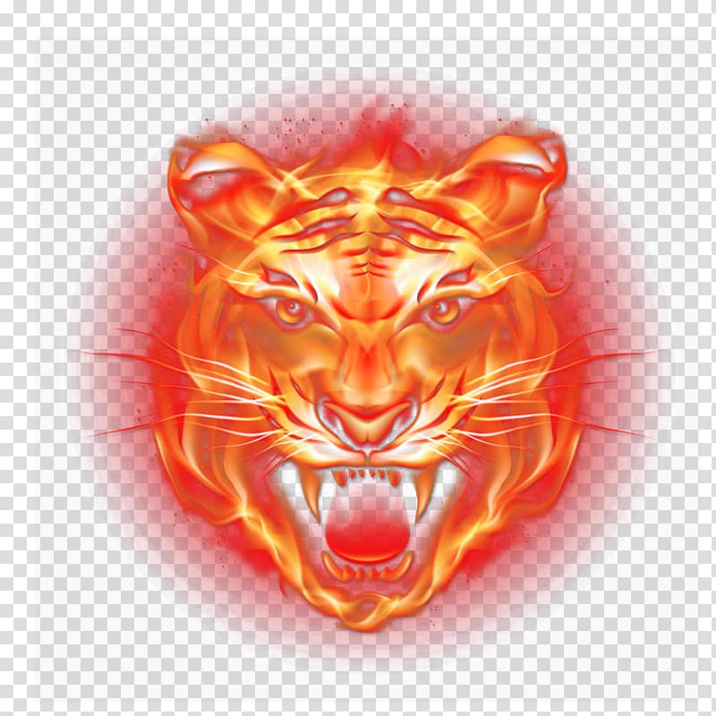 Tiger Light Flame Fire, Flame Tiger transparent background PNG clipart