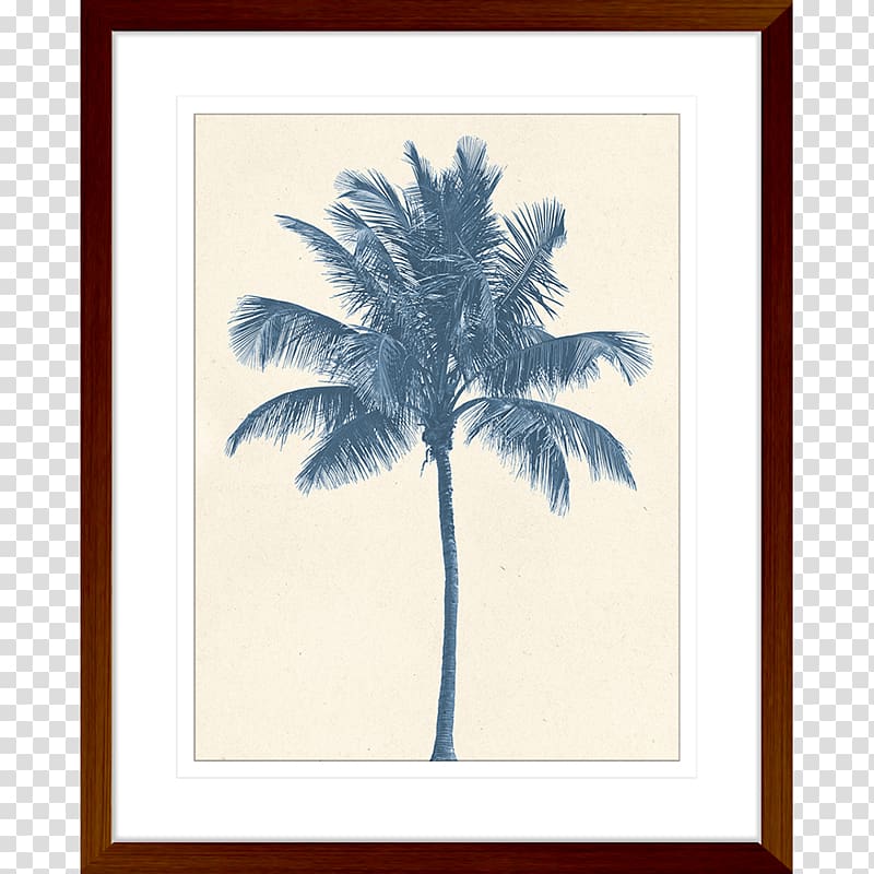 Coconut Tree Hyophorbe lagenicaulis , Poster wall transparent background PNG clipart