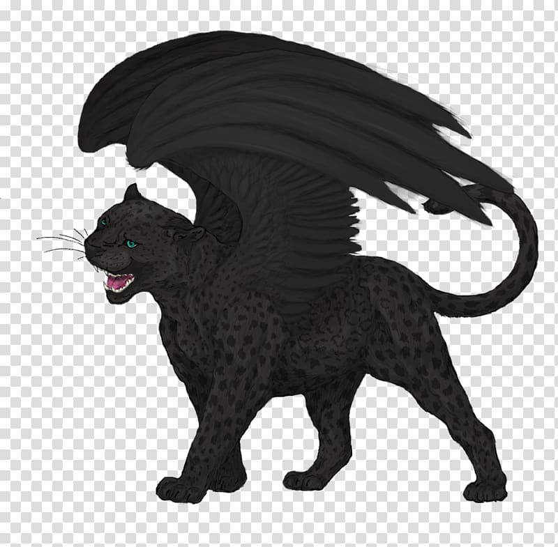 Leopard Black panther Felidae Cat Drawing, black panther transparent background PNG clipart