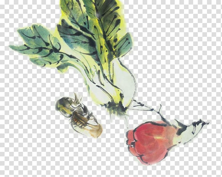 Cabbage Watercolor painting Vegetable, Cartoon watercolor cabbage transparent background PNG clipart