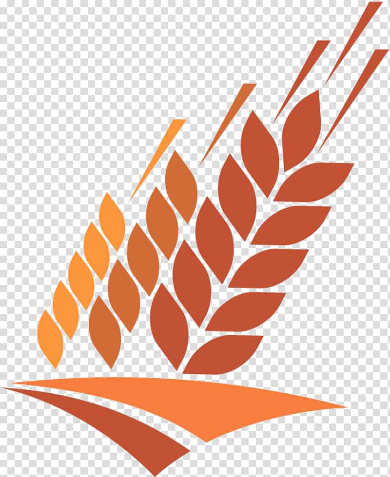 Agriculture Computer Icons Field Wheat Illustration, Cartoon wheat transparent background PNG clipart