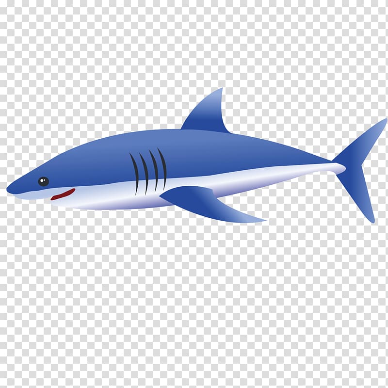 Tiger shark Euclidean Blue shark, Sharks transparent background PNG clipart