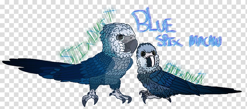 Macaw Artist Feather, baby spix macaw transparent background PNG clipart